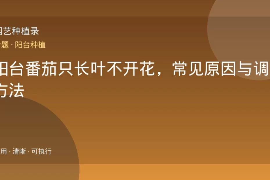 阳台番茄只长叶不开花，常见原因与调整方法