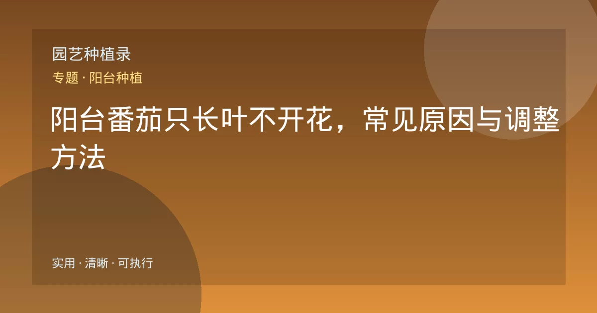 阳台番茄只长叶不开花,常见原因与调整方法